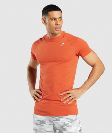 Men's Gymshark Vital Light Seamless T-Shirts Orange | NZ 3PTHCB